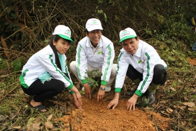 Trồng mới 120 ha rừng vì một Việt Nam xanh